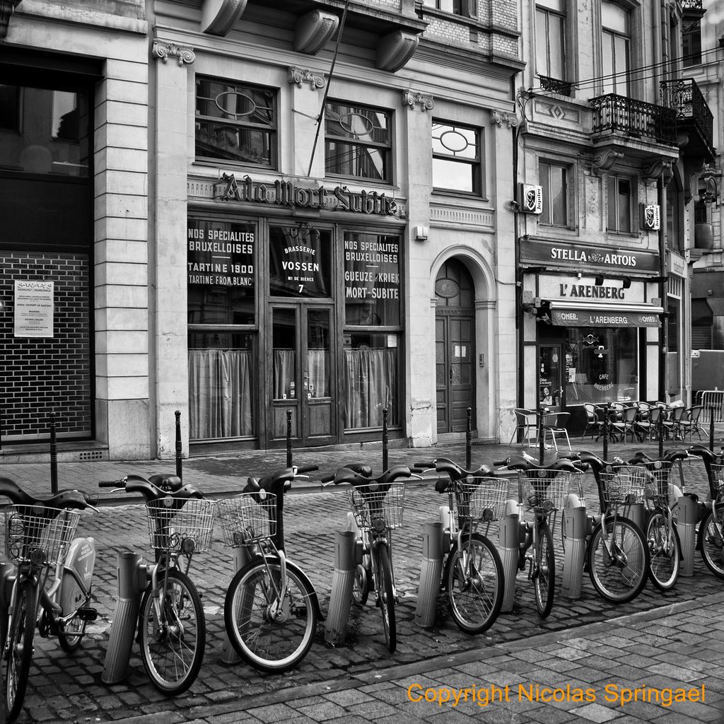 017 Rue Montagne aux Herbes Potageres 2015