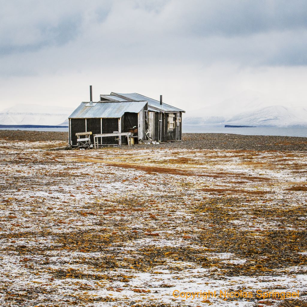 022 Spitzbergen 2014