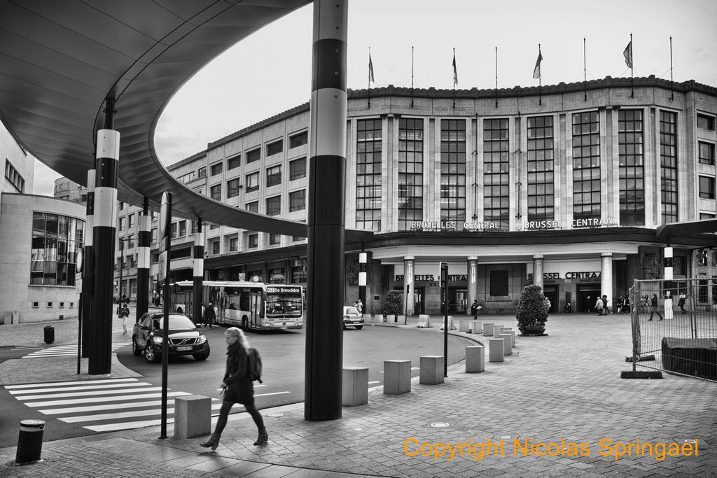 045 Gare Centrale 2012