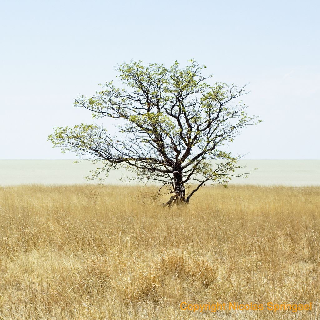 066 Namibie 2009