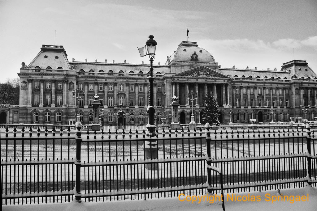 132 Palais du Roi 2008