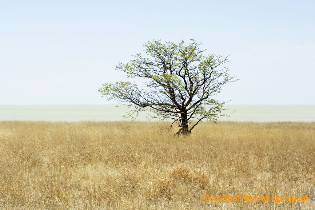 36 Namibie 2009