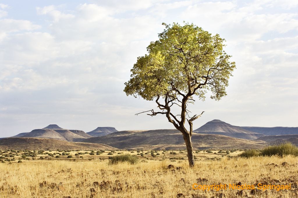 39 Namibie 2009